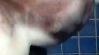 Bustys Cam Webcam Big Boobs Free Big Boobs Cam Porn Video