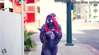 Spiderman's Journey Through the Feline Cosmos Featuring Ebony Enigma & Gibby The Harlequin