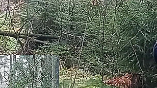 A Real Kick in the Balls