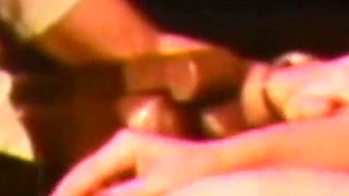 Vanessa the Exciter Pig