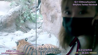 喵十四做你的一日女友和你去动物园后奖励内射到她的小穴里，某些角度竟然有点像三上悠亚