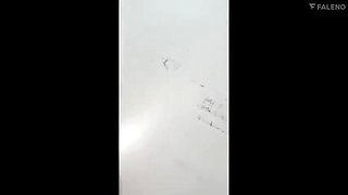 972-wguuhy-ouhsgy-poo-dss