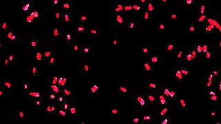 Manu Magnum & Sexy Susi Gangbang Orgy - Big Tits Blowjob and Cumshot Scenes