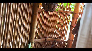 My Best Friend Spies on Me Showering and We Fucked When I Caught Him!