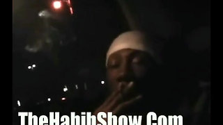 The Habib Springer Show!