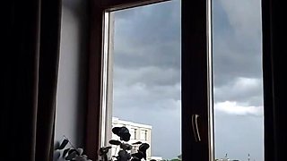 Nice Day