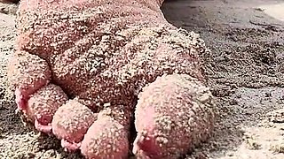 Covered in Sand and Above It All