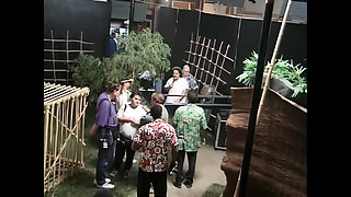 Just Another Crazy Orgy