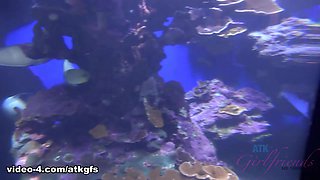 Haley Reed in The Aquarium Is Fun When You're Holding Haley's Hand - ATKGirlfriends