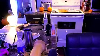 Emo Teen Becka Solo Webcam Masturbation Porn