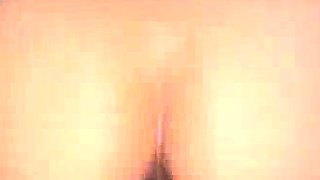 hotwife barebacks bbc bull removes condom aa