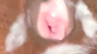 Massage Therapy Turns Into Anal Sex - Anal Creampie Compilation by Xxxsexfreak