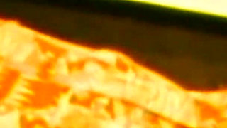 The Lesbians Suck Each Other