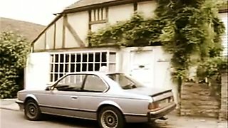 Retro zwischen verschiedenen Rassen 031