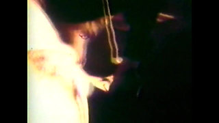 Disgusting Wild Sluts