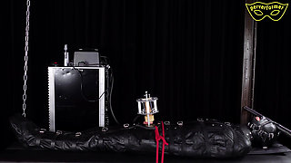 The World of Female Domination Part 2