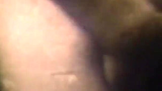 The Gozona Pig Gets Milk