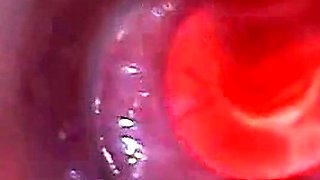 Endoscope POV Test Tube Cock Urethral Insertion