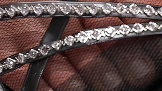 Whispers of Desire 16 Ive Teased the Shop Assistant