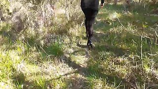 High Heels and Walking in the Woods
