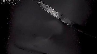 Hands Free Blowjob Ends with Cum in Her Mouth After a Sensual Deepthroat