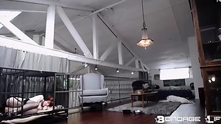 Femdom fetish bdsm mistress hoes