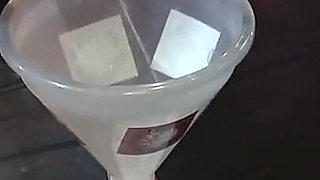 5 Litre Pee Collection with Rosella