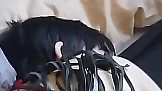 Film - Squirt Training