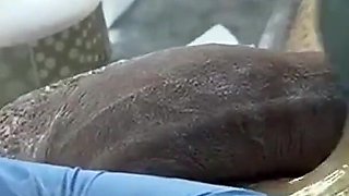 #74-2 Male Waxing