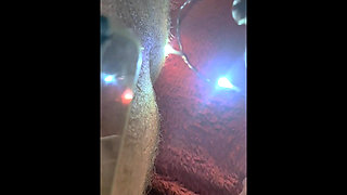Sloppy Blow Job with Intense Ass Smelling and Rubbing