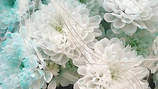 Bouquet of Flowers
