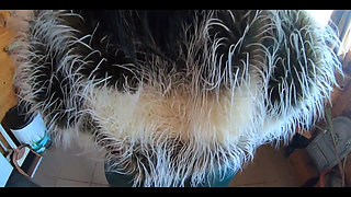 Tight Green Leather Pants Cameltoe Blowjob & Doggy with Cum on My Fur Coat & Downjacket- Preview