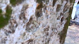 x3xDE695FCA825CBB36CB