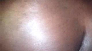 Stallion Ebony Taking Doggie