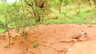 Sexy Black Girlfriend Hard Pussy Pounded