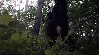 I have sex with my neighbor in the park so her husband doesn't catch us