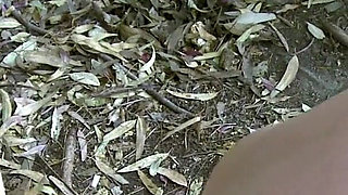 Mylene Johnson Mylene-johnson_kevin-white_terry_mo_01