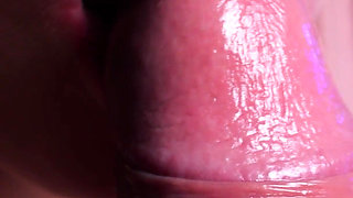 High Quality. Blowjob Close up, Cumshot on Cheek. Xsanyany