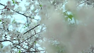 Angela thanks her private driver in her own way… - Jacquie et Michel TV