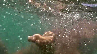 Naked in Paradise - Underwater Ocean Playtime