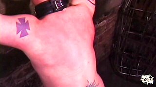 Magic Asian Pussy - hd dirt