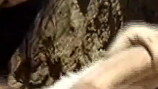 Beautiful Asian Teen Cumshot in Mouth, Two Busty Girls Ass Fucked and Cumshot in Mouth