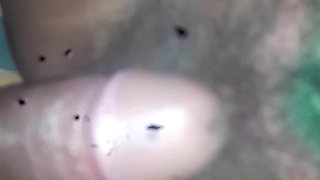 Bangla boudi video bhabhi