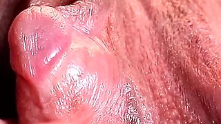 HD Clit 3