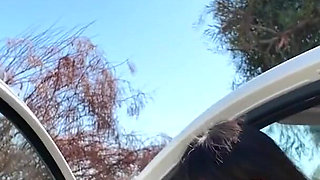 748144359626518528.mp4