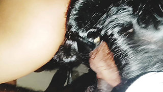 Telugu Aunty Nude Sex with Husbend Friend, Telugu Dirty Talks.