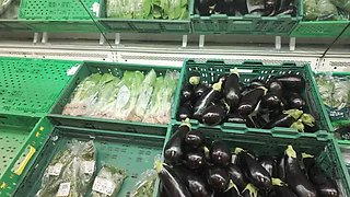 Heidi Blaze Public Flashing With Lovense Lush Remote Vibrator in Nature