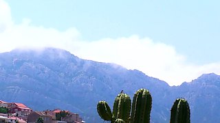 Intense POV Casting: Lola's Hardcore Anal Blowjob Audition