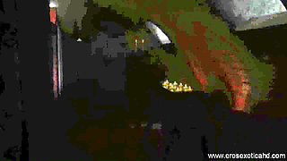 Eros Exotica HD: Tantra Techniques (hd): Part 1