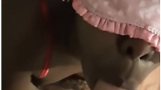 Jack Gets Sucked - Big Facial Cumshot - Sally Loves It !!!